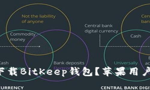 如何下载BitKeep钱包?苹果用户必看!