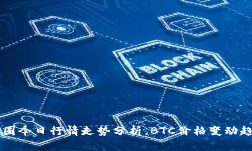 币圈今日行情走势分析,BTC价格变动趋势