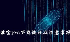 波宝pro下载流程及注意事项