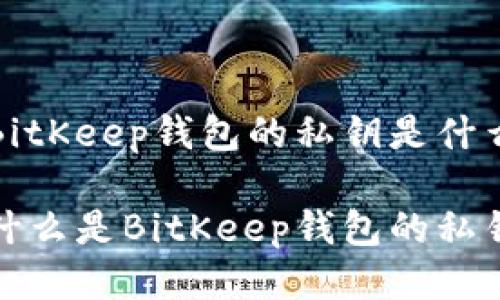 BitKeep钱包的私钥是什么
什么是BitKeep钱包的私钥