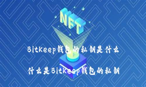 BitKeep钱包的私钥是什么
什么是BitKeep钱包的私钥