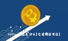 KDPay钱包是什么?它有哪些用途?