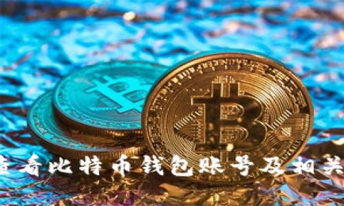 如何查看比特币钱包账号及相关信息?