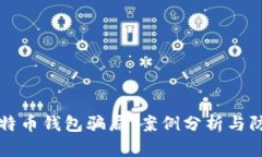 揭露比特币钱包骗局:案例分析与防范指南