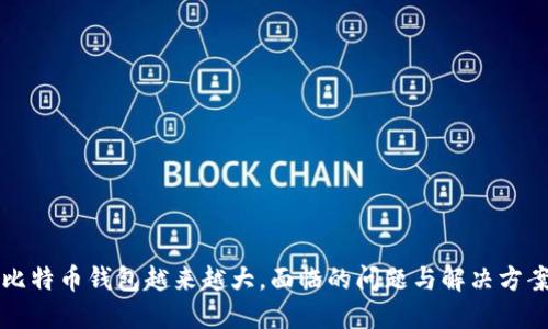 比特币钱包越来越大,面临的问题与解决方案