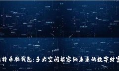 比特币脑钱包:多大空间能容纳未来的数字财富