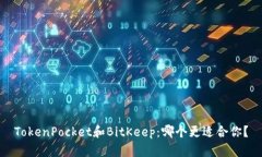 TokenPocket和BitKeep:哪个更适合你?