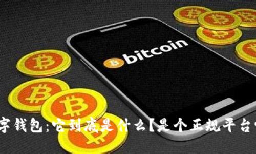 数字钱包:它到底是什么?是个正规平台吗?