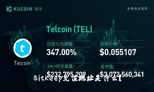 BitKeep充值地址是什么?
