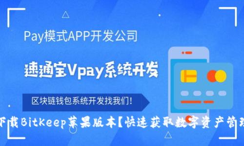 如何下载BitKeep苹果版本?快速获取数字资产管理工具