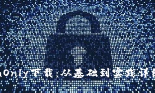 TokenOnly下载:从基础到实践详细介绍
