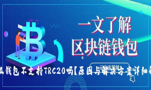 小狐钱包不支持TRC20吗?原因与解决方案详细解析