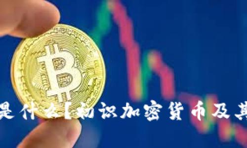 加密货币是什么?初识加密货币及其发展历程