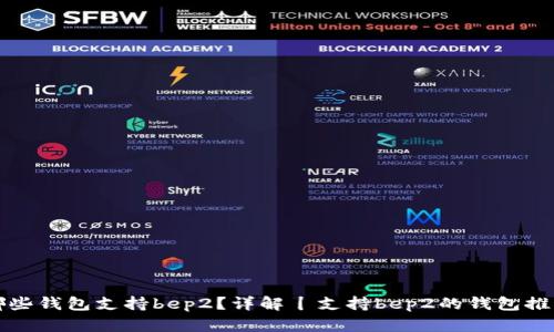 哪些钱包支持bep2?详解丨支持bep2的钱包推荐