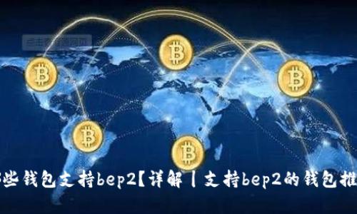 哪些钱包支持bep2?详解丨支持bep2的钱包推荐