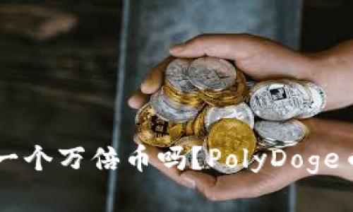 PolyDoge币是下一个万倍币吗?PolyDoge币的未来前景分析