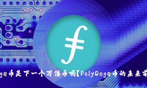 PolyDoge币是下一个万倍币吗?PolyDoge币的未来前景分析