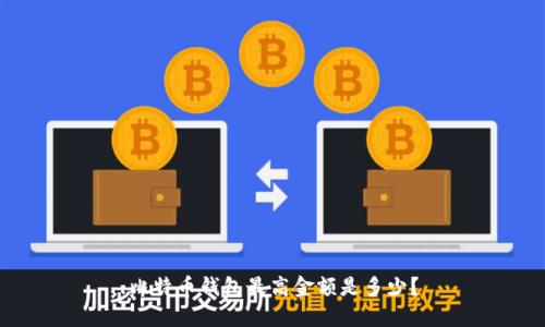 比特币钱包最高金额是多少?
