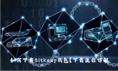 如何下载BitKeep钱包?下载流程详解