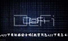 数字钱包app下载链接安全吗?数字钱包app下载怎