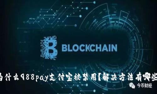 为什么988pay支付宝被禁用?解决方法有哪些?