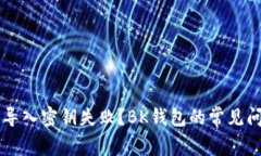 为什么导入密钥失败?BK钱包的常见问题解析