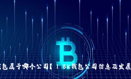 BK钱包属于哪个公司? | BK钱包公司信息及发展历程