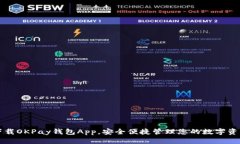 下载OKPay钱包App,安全便捷管理您的数字资产