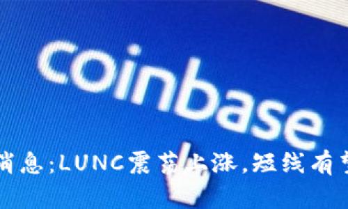 币圈最新行情消息:LUNC震荡上涨,短线有望突破关键价位