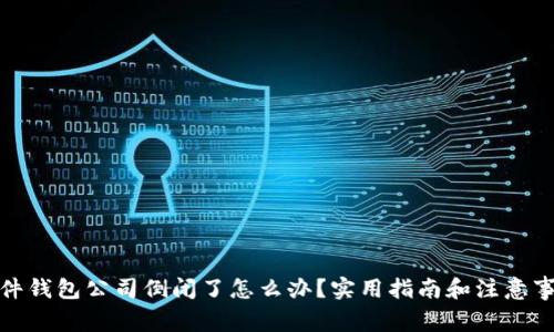 硬件钱包公司倒闭了怎么办?实用指南和注意事项