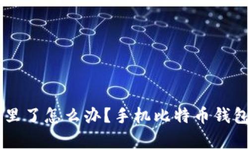 手机比特币钱包掉水里了怎么办?手机比特币钱包恢复方法及备份指南