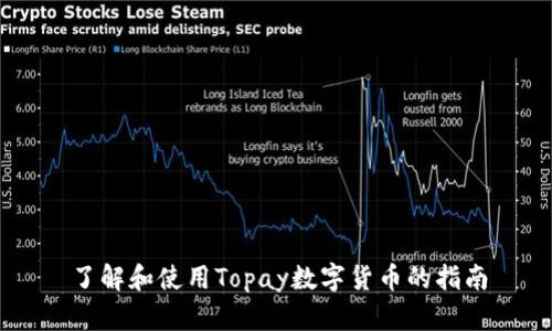 了解和使用Topay数字货币的指南