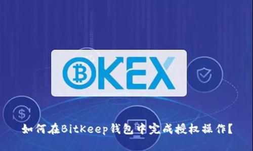 如何在BitKeep钱包中完成授权操作？