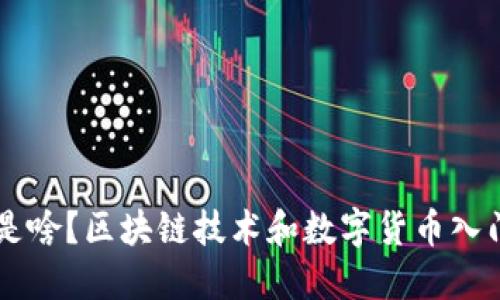 币圈是啥？区块链技术和数字货币入门指南