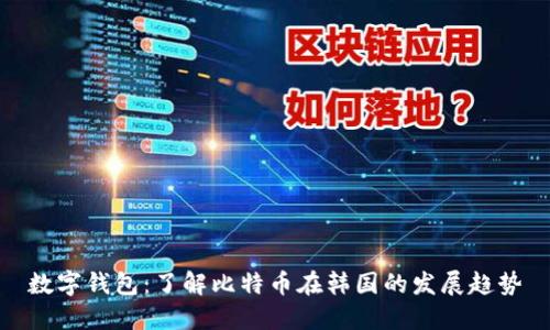数字钱包：了解比特币在韩国的发展趋势