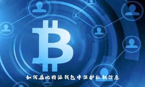 如何在比特派钱包中保护私钥信息