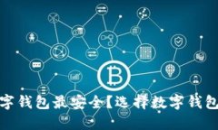 哪种数字钱包最安全?选择数字钱包需谨慎