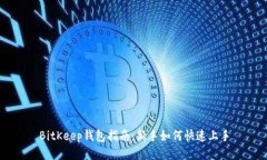 BitKeep钱包指南：新手如何快速上手