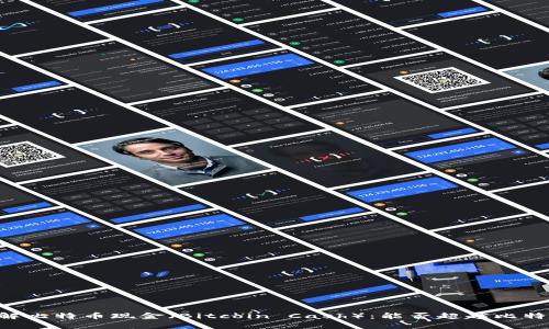 了解比特币现金(Bitcoin Cash):能否超越比特币?