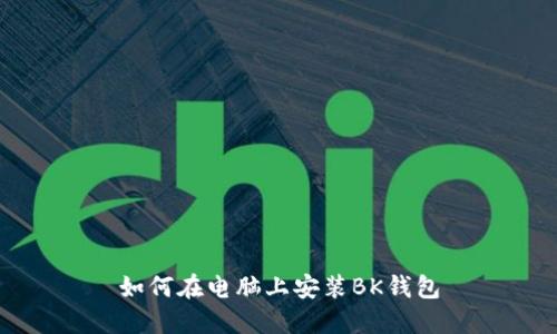 如何在电脑上安装BK钱包
