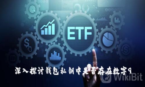 深入探讨钱包私钥中是否存在数字9
