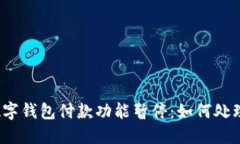 数字钱包付款功能暂停:如何处理?