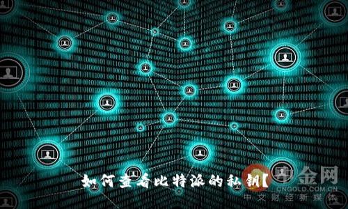 如何查看比特派的私钥?