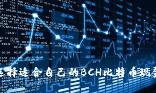 如何选择适合自己的BCH比特币现金钱包