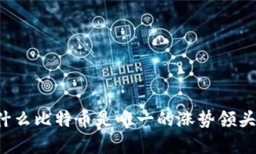 为什么比特币是唯一的涨势领头羊?