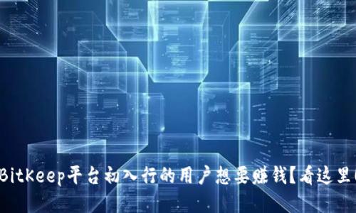 BitKeep平台初入行的用户想要赚钱?看这里!