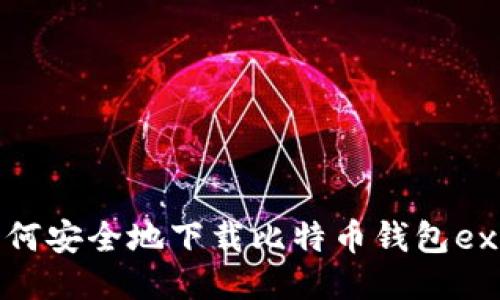如何安全地下载比特币钱包exe？