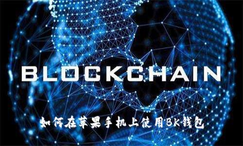 如何在苹果手机上使用BK钱包