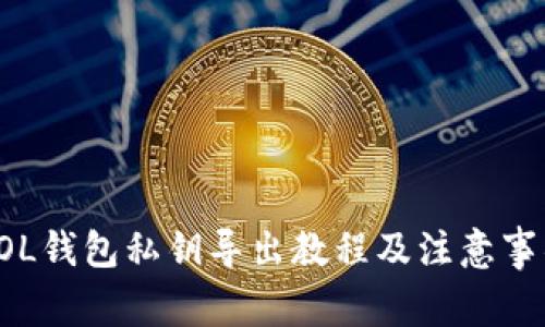 SOL钱包私钥导出教程及注意事项