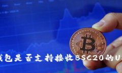 BK钱包是否支持接收BSC20的USDT?